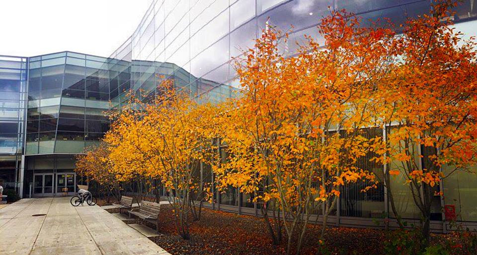 Image of the Berry Library entrance in the fall with colored leaves.